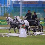 Cupa Romaniei la atelaje cu 2 cai se va desfasura intre 17 si 19 aprilie 2026 la Targu Mures