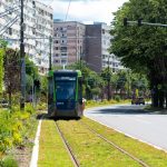 Orasele mici depasesc marile centre urbane in privinta spatialor verzi Targu Mures in fruntea clasamentului verde din Transilvania
