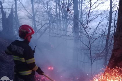 180 de incendii de vegetatie in judet in prima parte a anului cu peste 425 de hectare afectate