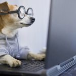 Comisia Europeana propune o zi obligatorie de telemunca si reducerea costurilor pentru transportul public in vederea diminuarii presiunii generate de criza energetica