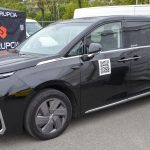 Gigantul auto chinez SAIC a optat pentru Spania in locul Ungariei pentru a infiinta o fabrica de masini electrice
