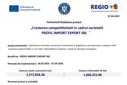Imbunatatirea competitivitatii in cadrul societatii PROFIL IMPORT EXPORT SRL