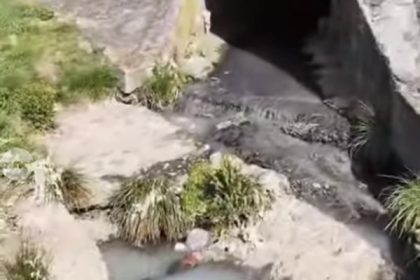 Poluare pe raul Mures in apropierea Aleei Carpati