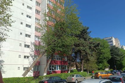 Pompierii au intervenit pentru inalturarea unui copac de pe strada Gheorghe Doja