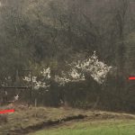 Primaria Craciunesti braconaj pe drumurile publice dosar penal pentru primar si viceprimar