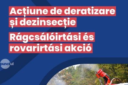 Primaria Targu Mures informeaza despre cosirea ierbii in diverse zone si incepera dezinsectiei in intreg orasul