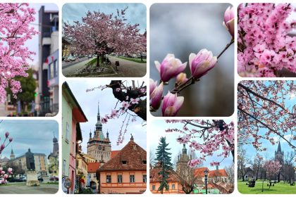 Primavara isi face simtita prezenta in judetul Mures