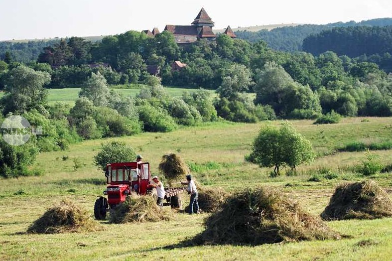 Program pilot pentru acordarea a 200 de euro pe hectar in Apold pentru conservarea biodiversitatii fanetelor