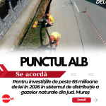 punctul alb 5