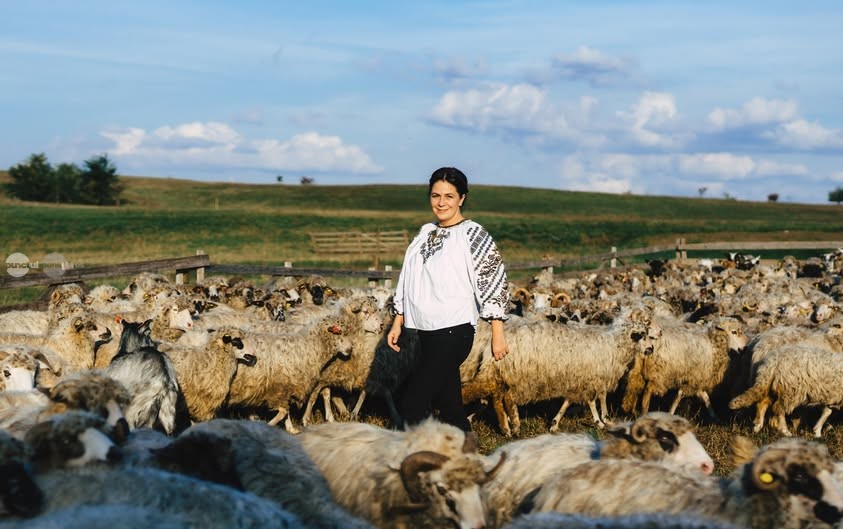Dumitrita Gliga Este esential ca oile si mieii romanesti sa revina cat mai repede pe pietele internationale