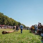 Festival Ecvestru la Reghin cai parade si demonstratii impresionante pe 30 august