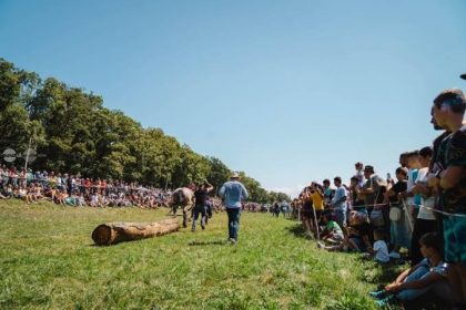 Festival Ecvestru la Reghin cai parade si demonstratii impresionante pe 30 august