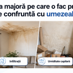 GRESALA GRAVA PE CARE O FAC PROPRIETARII ATUNCI CAND SE CONFRUNTA CU UMEZEALA IN LOCUINTA