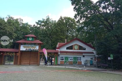 Peste 2 5 milioane de lei pentru realizarea unui food court la Grdina Zoologic
