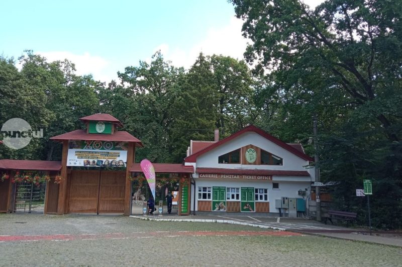 Peste 2 5 milioane de lei pentru realizarea unui food court la Grdina Zoologic
