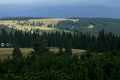Sighisoara si Valea Muresului incluse intr un catalog national destinat protejarii biodiversitatii