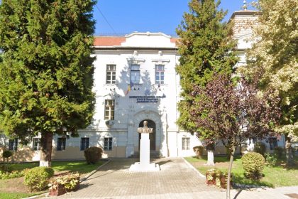 Studiu la UMFST 86 dintre studentii de la Pedagogie utilizeaza inteligenta artificiala