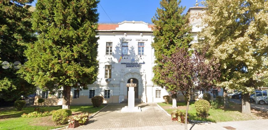 Studiu la UMFST 86 dintre studentii de la Pedagogie utilizeaza inteligenta artificiala