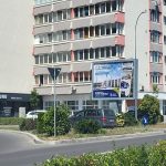 Tufa recent plantata pe Gheorghe Doja problema de vizibilitate pentru conducatorii auto