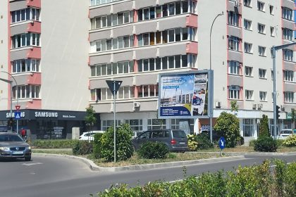 Tufa recent plantata pe Gheorghe Doja problema de vizibilitate pentru conducatorii auto