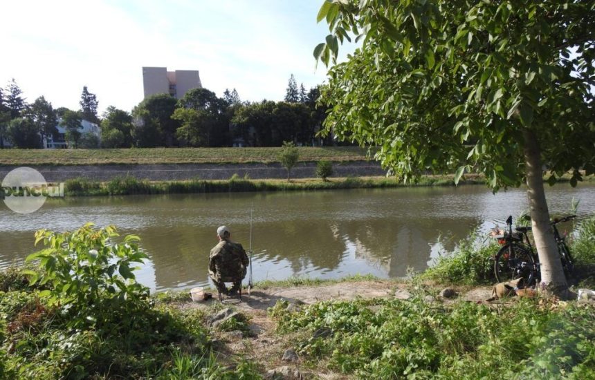 eveniment de pescuit la feeder pe raul Mures in Targu Mures inscrierile sunt deschise