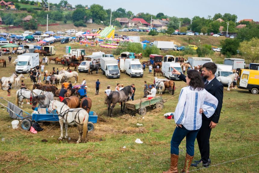 expoziie de cai i blat romneasc la cipieni dumitria gliga mureul pe primul loc n ar la producia de lapte de vac