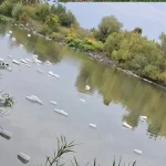 Amenzi de 23.500 lei pentru pescuit ilegal, după controale în Mureș