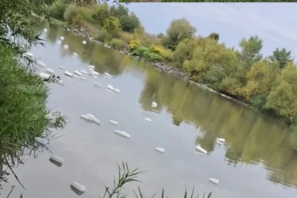 Amenzi de 23.500 lei pentru pescuit ilegal, după controale în Mureș
