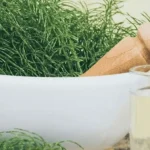 Coada-calului, planta remineralizantă. Cum se prepară și ce precauții respectăm