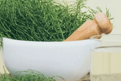 Coada-calului, planta remineralizantă. Cum se prepară și ce precauții respectăm