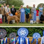 Dracula Dog Show a reunit la Târgu Mureș sute de câini din peste 30 de țări