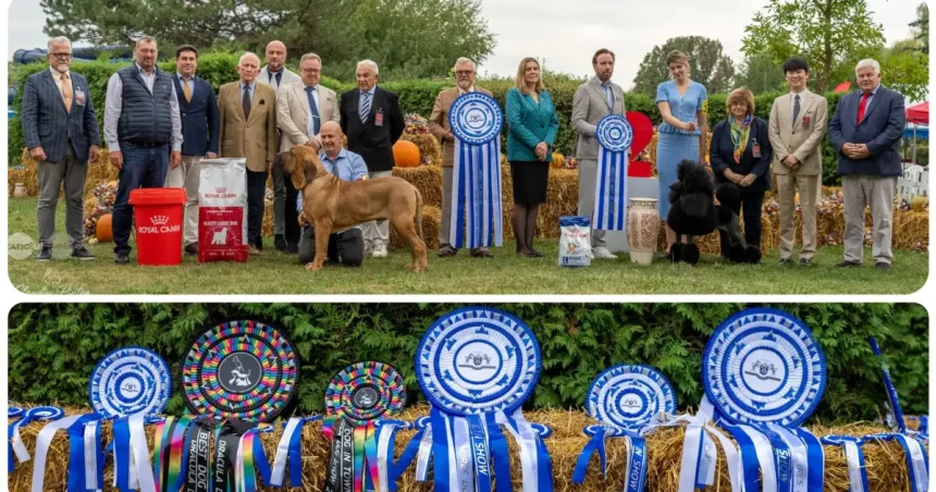 Dracula Dog Show a reunit la Târgu Mureș sute de câini din peste 30 de țări