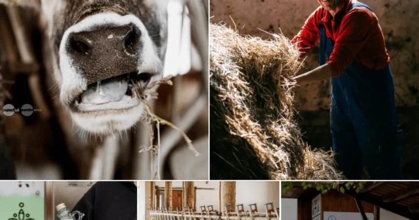 Ferma Bio Tej din Mădăraș, o descoperire de neratat