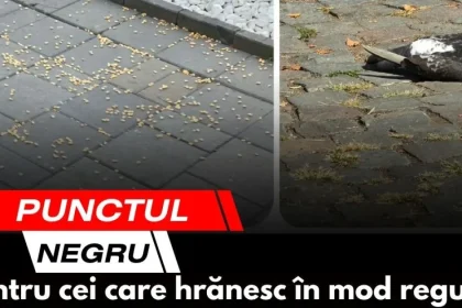 Misterul din spatele punctului negru care apare pe ecrane