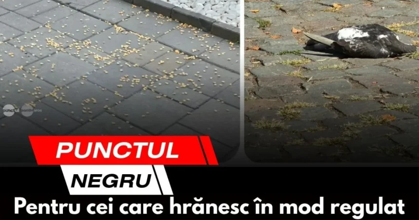 Misterul din spatele punctului negru care apare pe ecrane