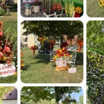 Pregătirile pentru carele florale sunt în toi la Festivalul Magia Florilor din Târgu Mureș
