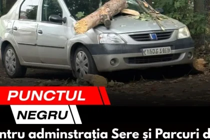 Punctul negru care schimbă totul în viața ta