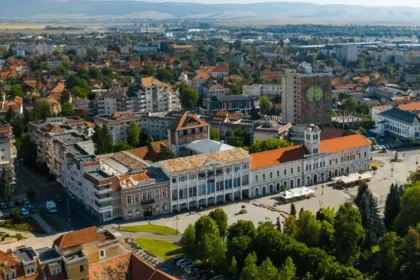 Top 50 de firme din Covasna: cum a evoluat vârful clasamentului între 2008 și 2025
