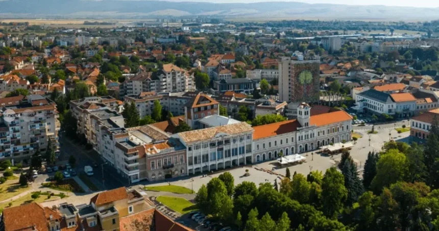 Top 50 de firme din Covasna: cum a evoluat vârful clasamentului între 2008 și 2025