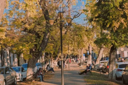 Bugetul municipiului Târgu Mureș, rectificat: peste 310 milioane lei pentru dezvoltare