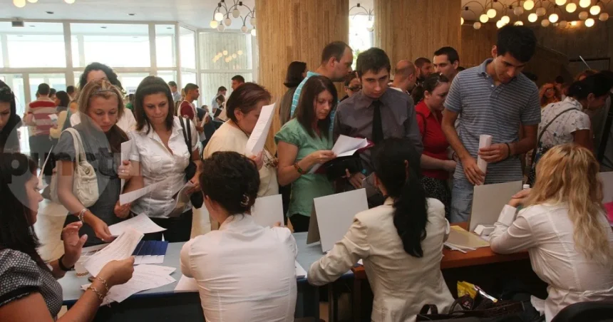 Bursa Generală a Locurilor de Muncă pentru absolvenți: peste 500 de posturi vacante