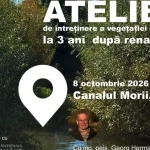 Canalul Morii din Reghin: primul proiect de renaturare urbană din România