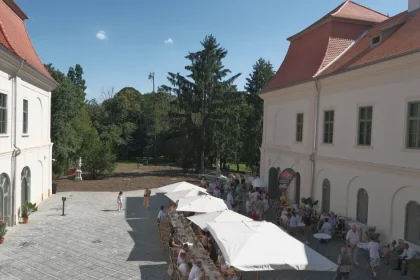 Castelul Teleki din Gornești extinde terenul pentru activități culturale și turistice