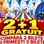 Circul Mare din Ungaria continuă spectacolele la Târgu Mureș