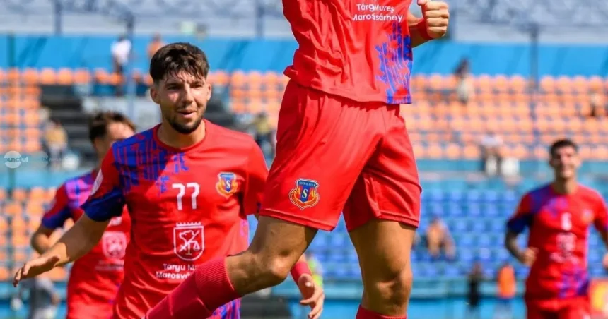 Cluburile sportive din Târgu Mureș primesc doar 54% din suma propusă de comisie