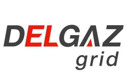 Delgaz Grid organizează licitație publică pentru vânzarea mai multor imobile