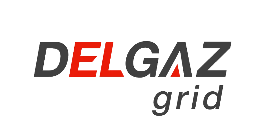 Delgaz Grid organizează licitație publică pentru vânzarea mai multor imobile