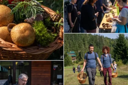 Două zile de natură și gastronomie la festivalul ciupercilor de la Piricske