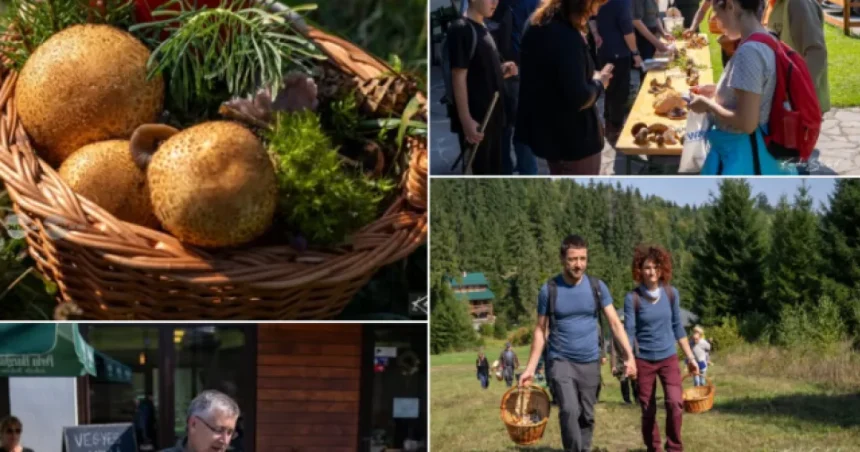 Două zile de natură și gastronomie la festivalul ciupercilor de la Piricske