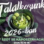Festivalul Verzei de la Lăzarea: trei zile de târguri, mâncare și spectacole